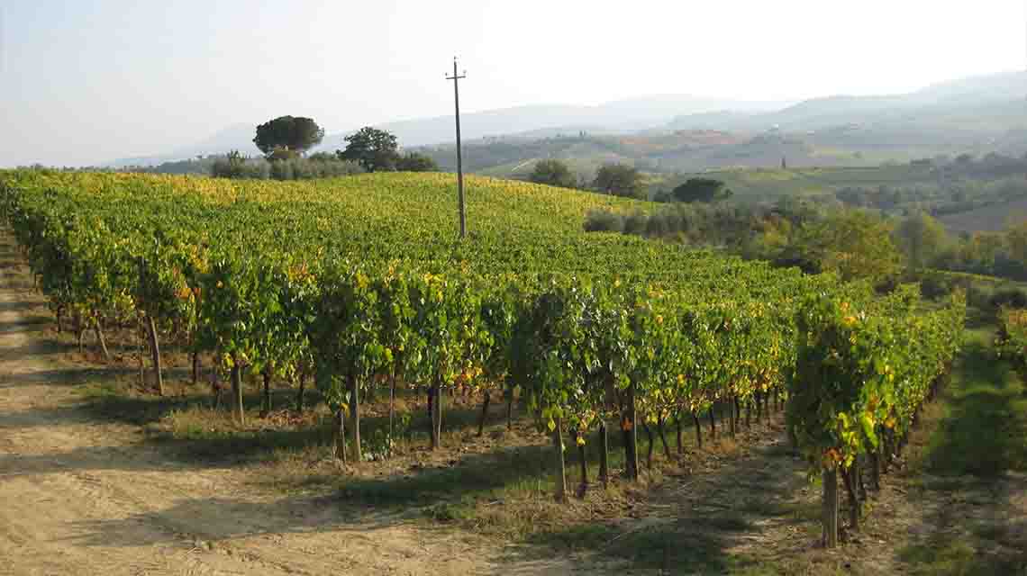 Boscarelli Vineyards